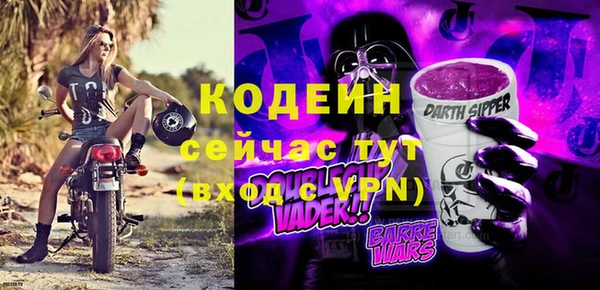 МДПВ Киселёвск