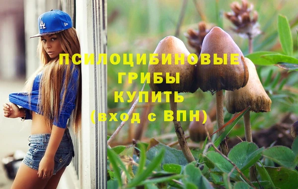 СК Иннополис