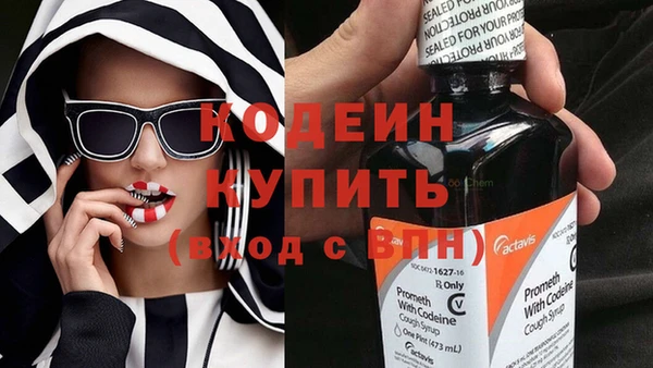 МДПВ Киселёвск