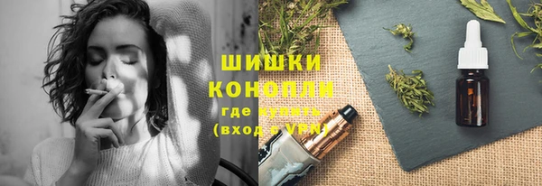 соль ск Каменногорск