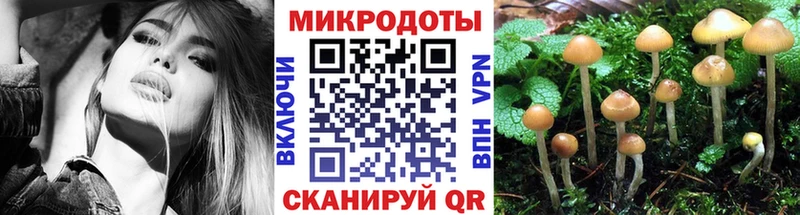 Псилоцибиновые грибы MAGIC MUSHROOMS  Михайловка 